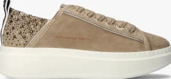 ALEXANDER SMITH lage sneakers wembley beige Clearance