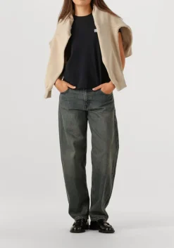 AMERICAN VINTAGE trui plizzy beige Discount