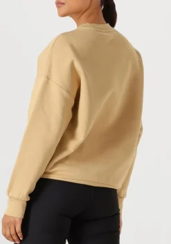 GOLDBERGH sweater alessandra crew neck sweater beige Online