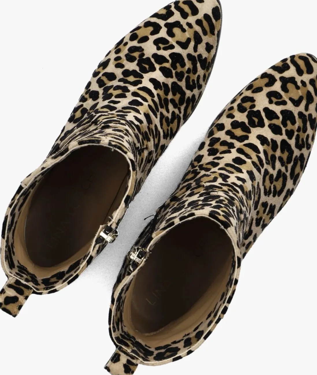 LINA LOCCHI enkellaarsjes 8543 beige Clearance