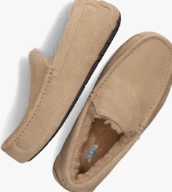 UGG pantoffels ascot beige New