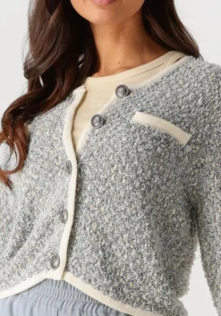 GESTUZ e vest gznalin cardigan blauw Sale