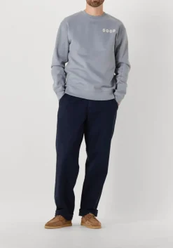 THE GOODPEOPLE blauwe sweater lteddy lichtblauw Discount