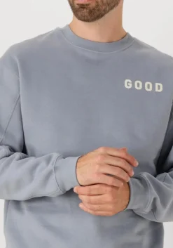 THE GOODPEOPLE blauwe sweater lteddy lichtblauw Discount