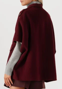 ALTER EGO jack frenkie bordeaux Online