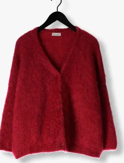 AMAYA AMSTERDAM trui roos bordeaux Online