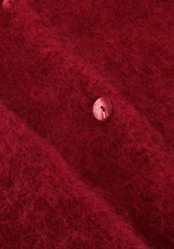 AMAYA AMSTERDAM trui roos bordeaux Online