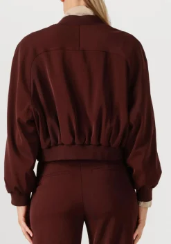 DRYKORN jack marham bordeaux Sale