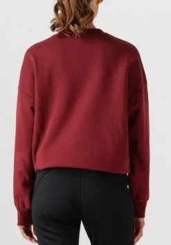 GOLDBERGH sweater alessandra crew neck sweater bordeaux Clearance