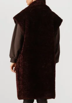 IBANA gilet chella bordeaux Hot