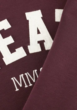 MOS MOSH trui mmcelli o-ls sweatshirt bordeaux Best