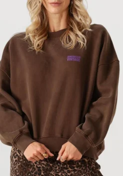 AMERICAN VINTAGE e trui plizzy bruin Online