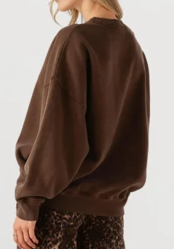 AMERICAN VINTAGE e trui plizzy bruin Online