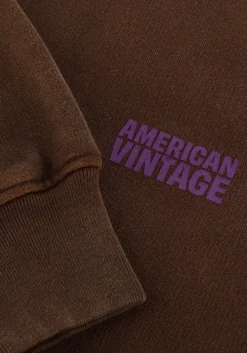 AMERICAN VINTAGE e trui plizzy bruin Online