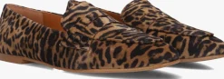 BILLI BI e loafers a7978 bruin Online