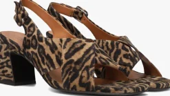 BILLI BI e slingbacks a8378 bruin Online