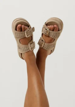 BLASZ e slippers lpmag-41 bruin Online