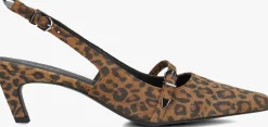 DANTE6 e slingbacks shay leopard pumps bruin Online