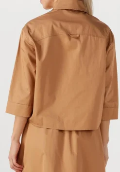 DEVOTION e blouses miracle bruin Online