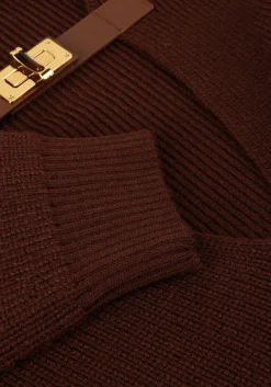 ELISABETTA FRANCHI e trui knitted sweater bruin Sale