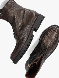 FRED DE LA BRETONIERE e veterboots minou derby bruin