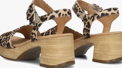 GABOR e sandalen met hak 721.1.0 bruin Hot