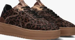 HABOOB e lage sneakers filou bruin Outlet