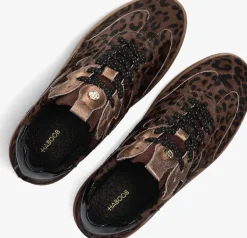 HABOOB e lage sneakers filou bruin Outlet