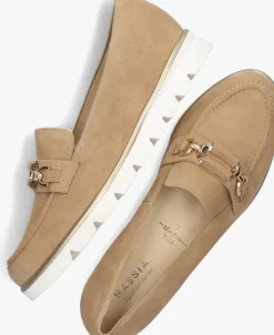 HASSIA e instappers 301552 pisa bruin