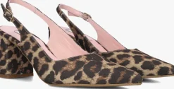 NOTRE-V e slingbacks 2315c bruin New