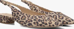 PETER KAISER e slingbacks 79441 bruin Online