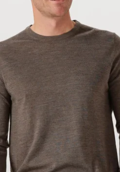STEFANO LAURAN e trui crew bruin Hot