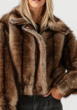 STUDIO AR e jassen lucy bruin Sale