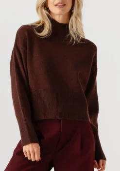 SUNCOO e trui pinto bruin