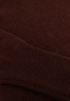 SUNCOO e trui pinto bruin