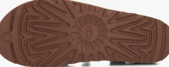 UGG e platte sandalen goldenstar jasmine bruin