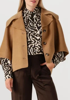 ALTER EGO jack lodé camel