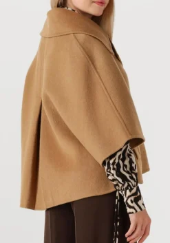 ALTER EGO jack lodé camel