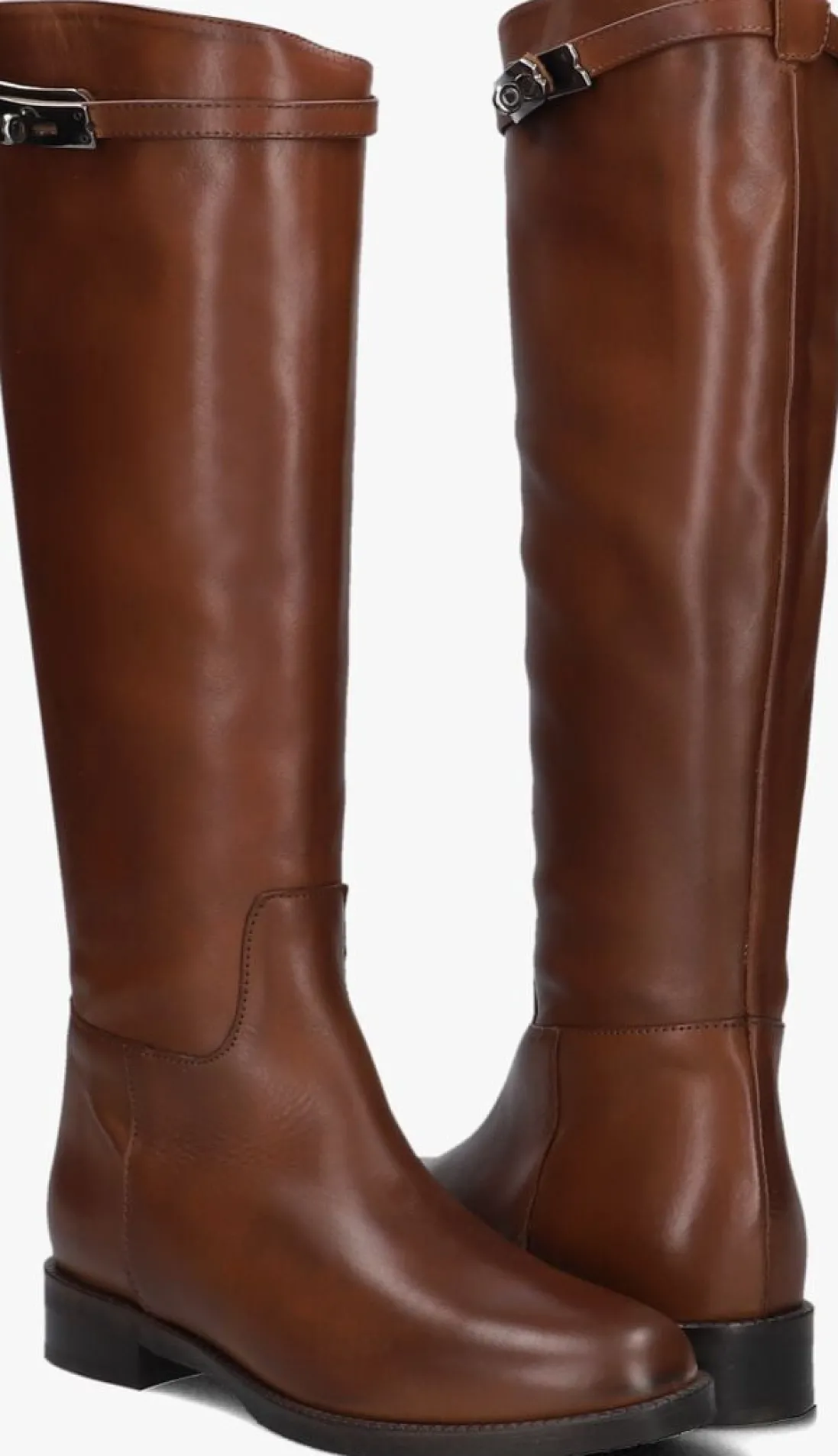 STEFANO LAURAN laarzen 2048 cognac Discount