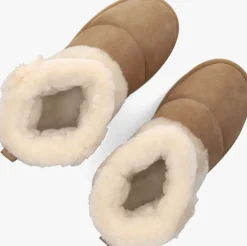 UGG enkelboots classic chillapeak cognac Online