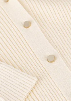 BRUUNS BAZAAR vest gallberry carica knit cardigan creme Hot