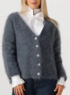 AMAYA AMSTERDAM donkergrijze vest roos knitwear donkergrijs Clearance