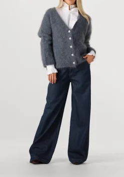 AMAYA AMSTERDAM donkergrijze vest roos knitwear donkergrijs Clearance