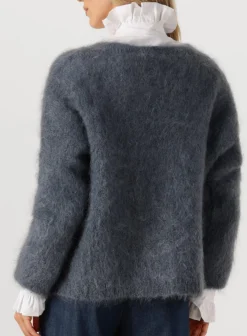 AMAYA AMSTERDAM donkergrijze vest roos knitwear donkergrijs Clearance