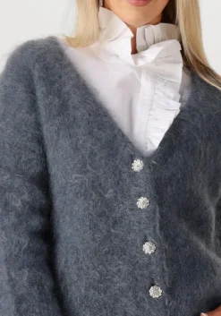 AMAYA AMSTERDAM donkergrijze vest roos knitwear donkergrijs Clearance