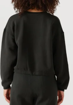 AMERICAN VINTAGE donkergrijze sweater izubird d donkergrijs Discount