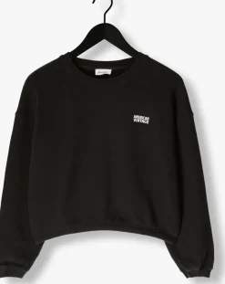 AMERICAN VINTAGE donkergrijze sweater izubird d donkergrijs Discount