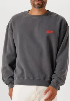 AMERICAN VINTAGE donkergrijze sweater plizzy 1 donkergrijs New