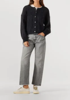 DES PETITS HAUTS donkergrijze vest chouette donkergrijs Best