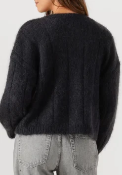 DES PETITS HAUTS donkergrijze vest chouette donkergrijs Best